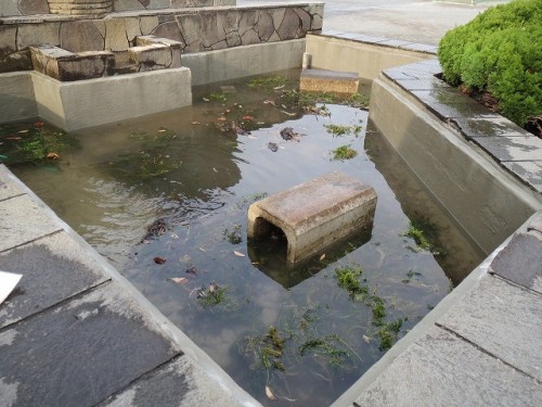 観察池の漏水修繕